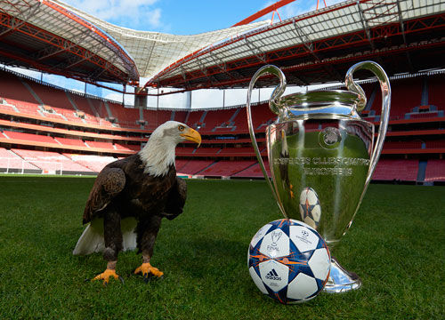 金额高居联 金额高居联