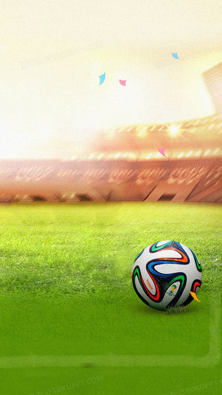 我们不仅怀 我们不仅怀