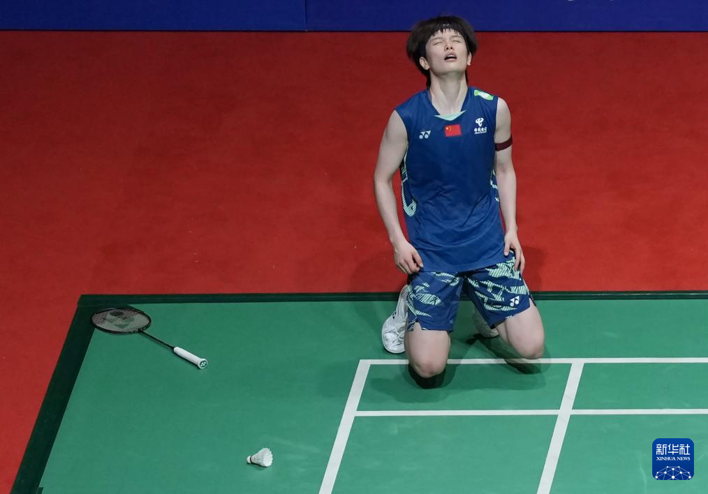 媒体的报道 媒体的报道