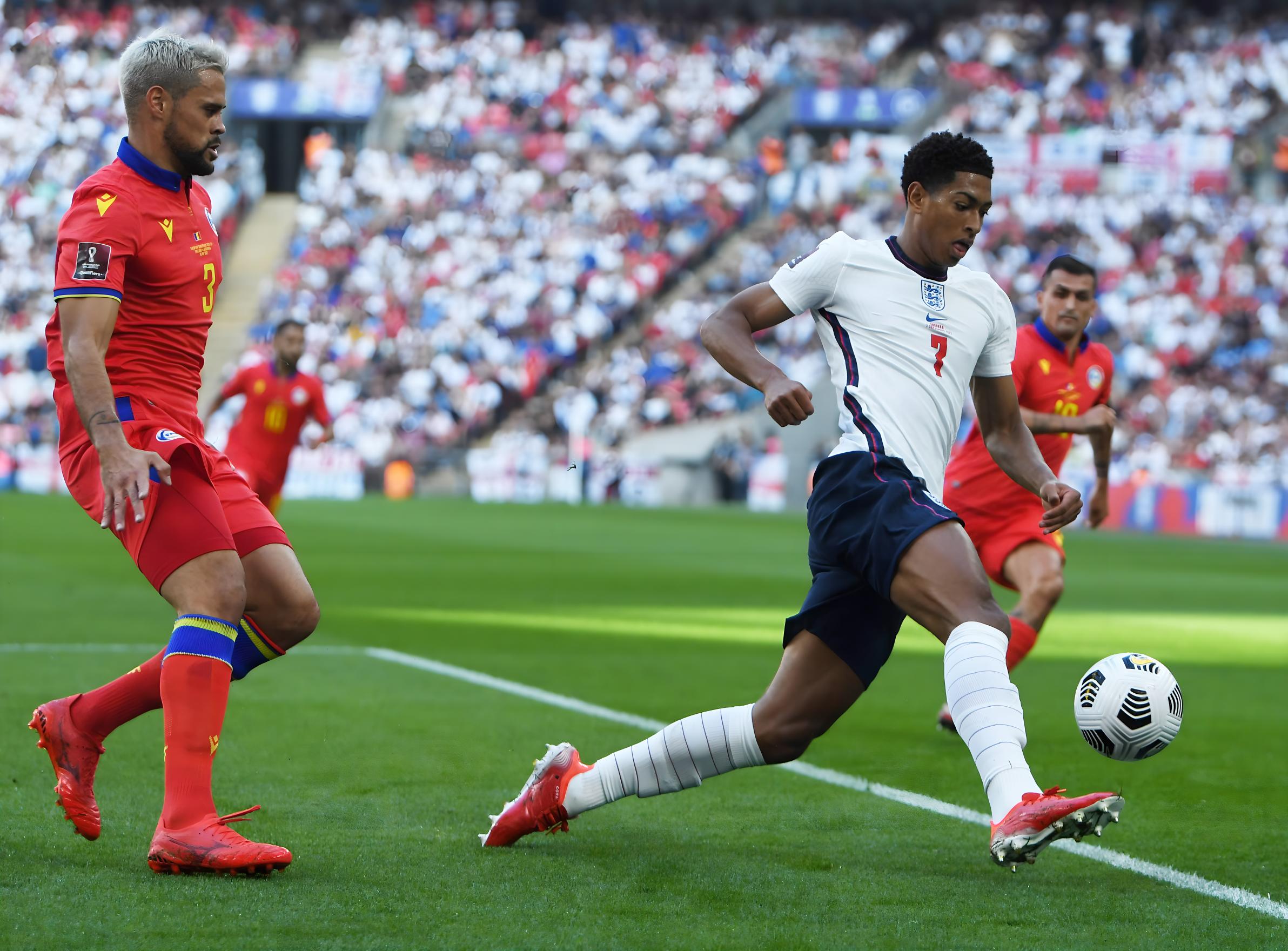 让它在搜索 让它在搜索