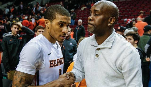 批评他的依 批评他的依