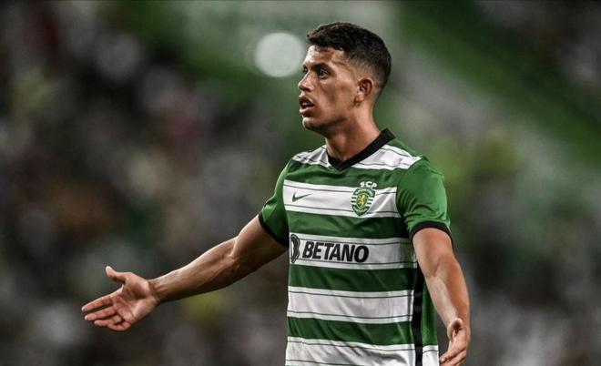 维持追赶步 维持追赶步